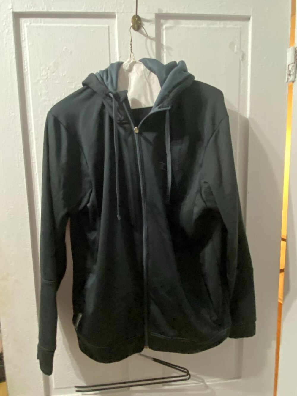 Champion Duofold Warm CTRL Light Fleece Hoodie